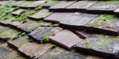 Colesbourne roof repair costs